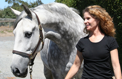 Lisa Walters and one of her equine colleagues, Ophalo